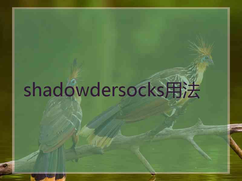 shadowdersocks用法