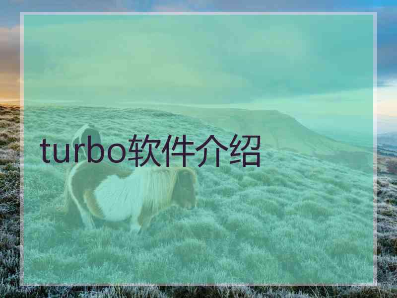 turbo软件介绍