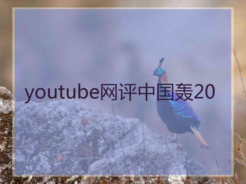 youtube网评中国轰20