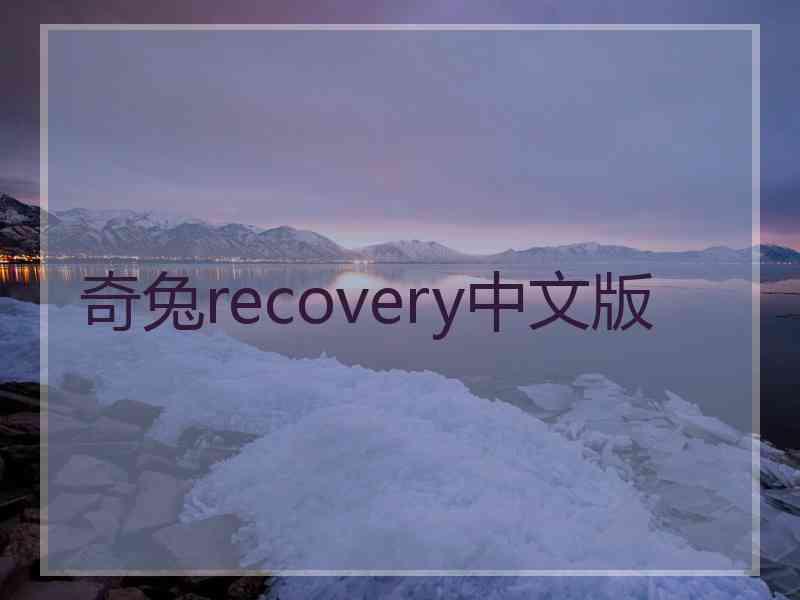 奇兔recovery中文版