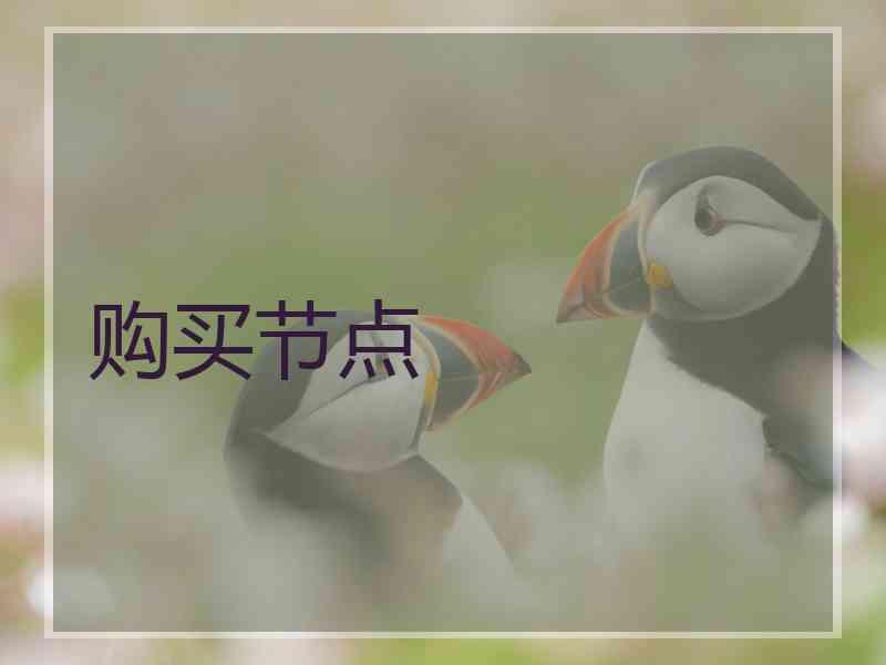 购买节点