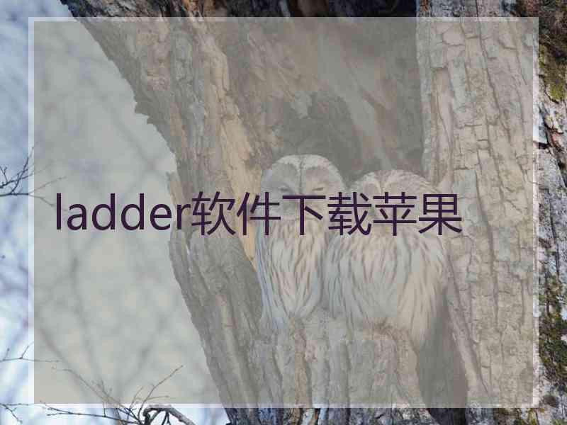 ladder软件下载苹果
