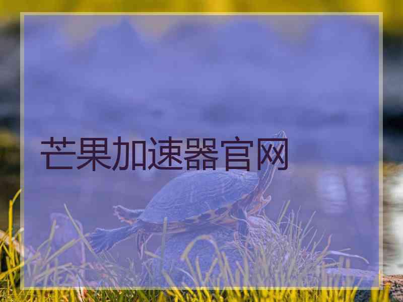 芒果加速器官网