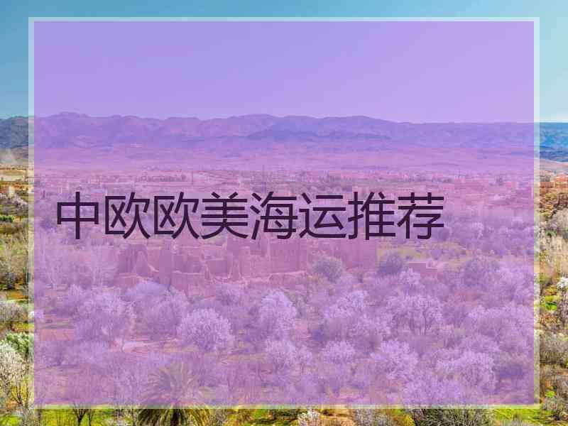 中欧欧美海运推荐