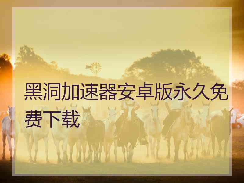 黑洞加速器安卓版永久免费下载