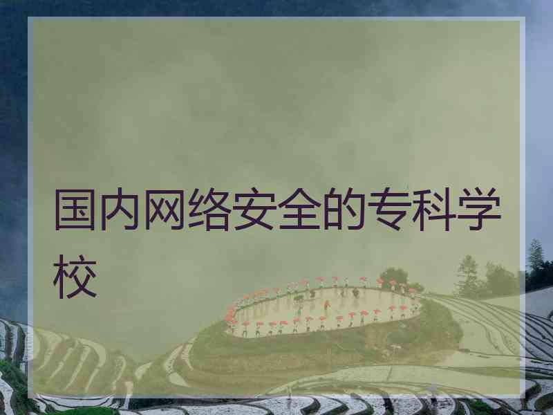 国内网络安全的专科学校