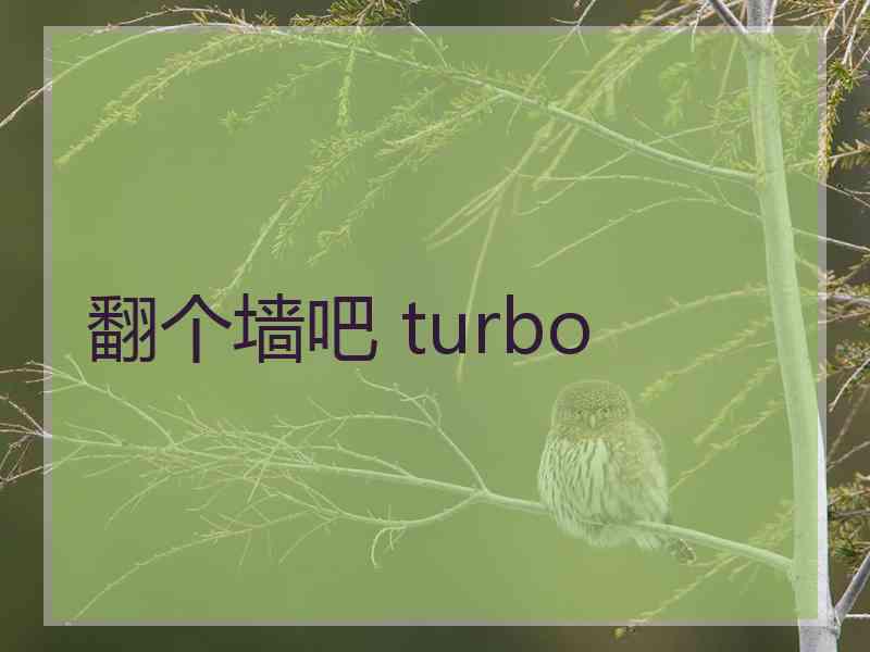 翻个墙吧 turbo