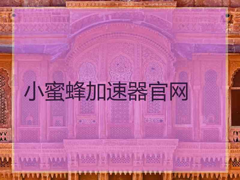 小蜜蜂加速器官网
