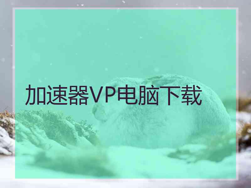 加速器VP电脑下载