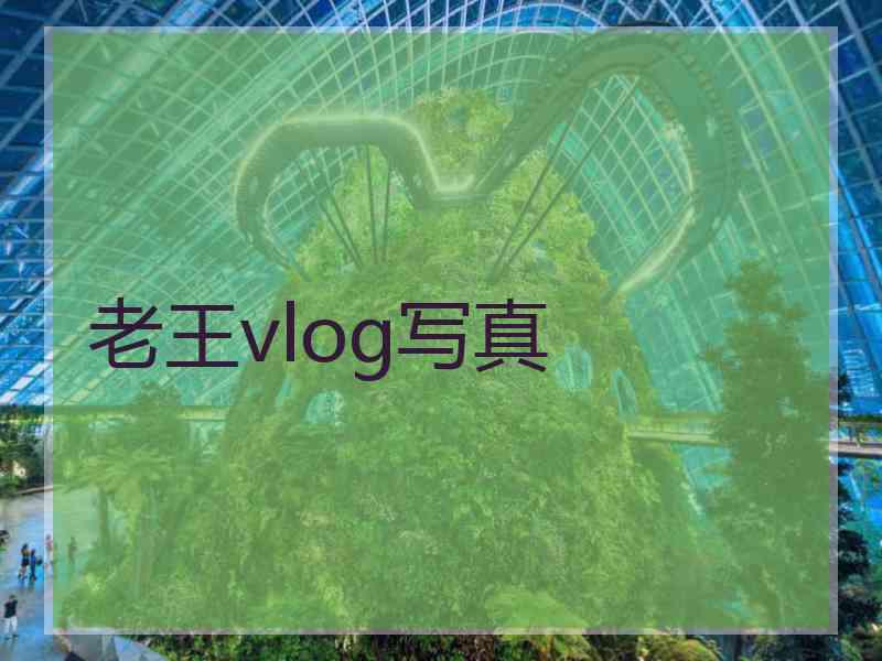 老王vlog写真