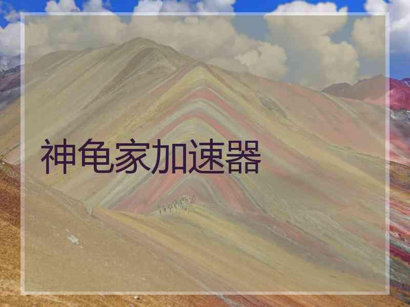 神龟家加速器