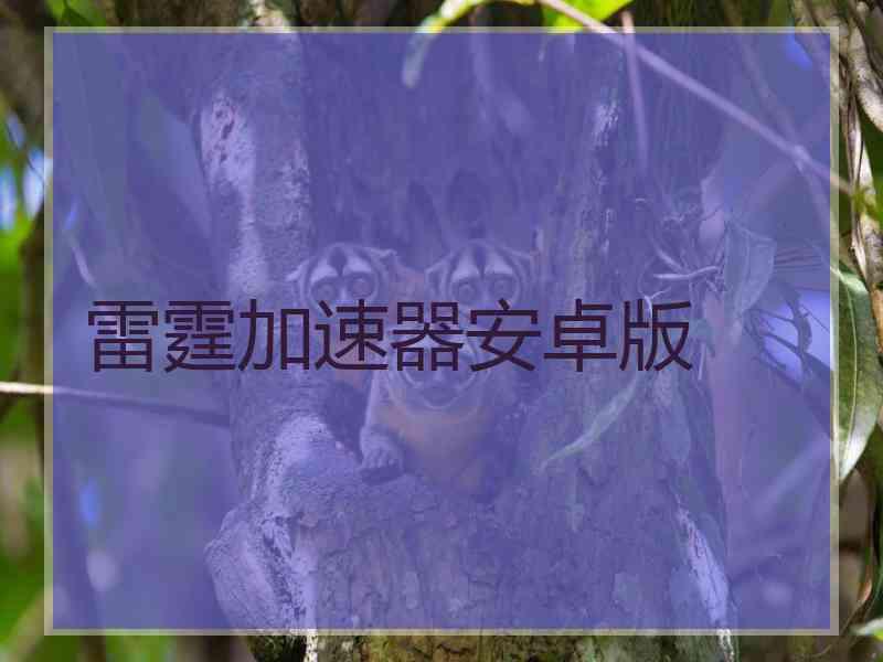 雷霆加速器安卓版