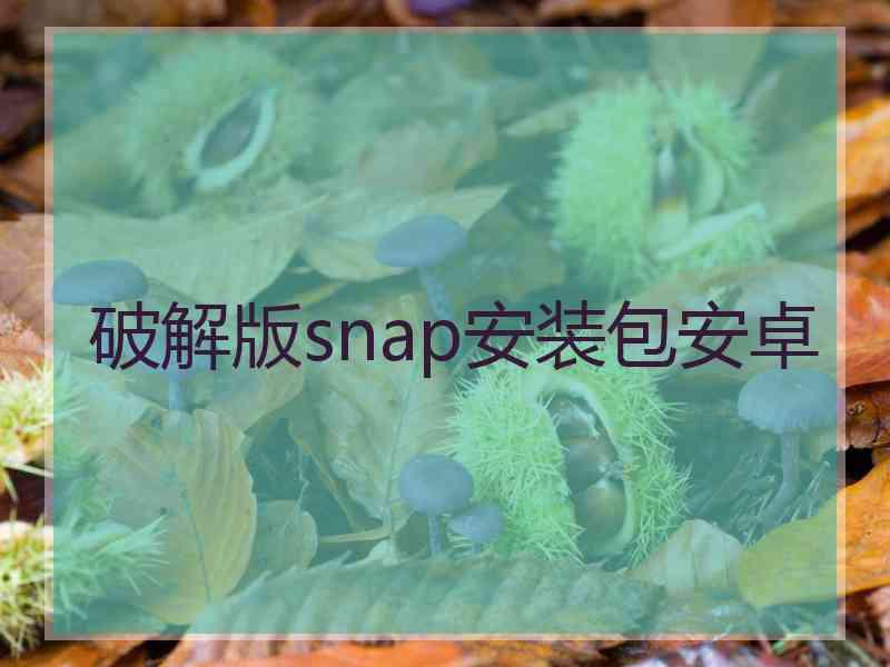 破解版snap安装包安卓
