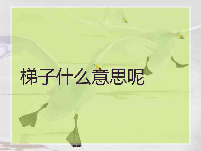 梯子什么意思呢