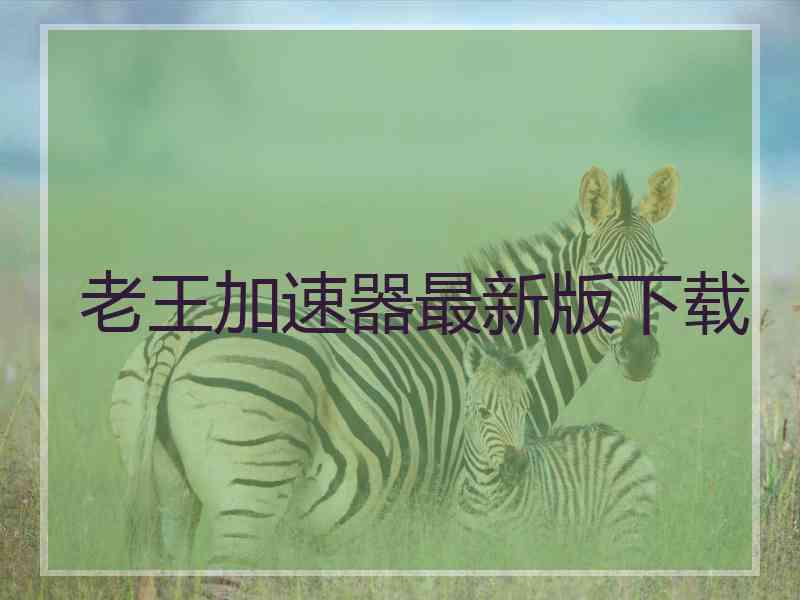 老王加速器最新版下载