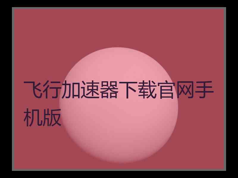 飞行加速器下载官网手机版
