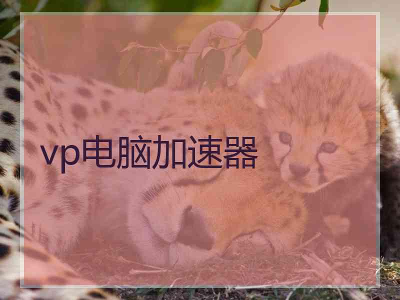 vp电脑加速器