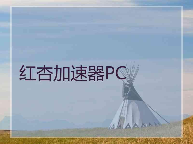红杏加速器PC
