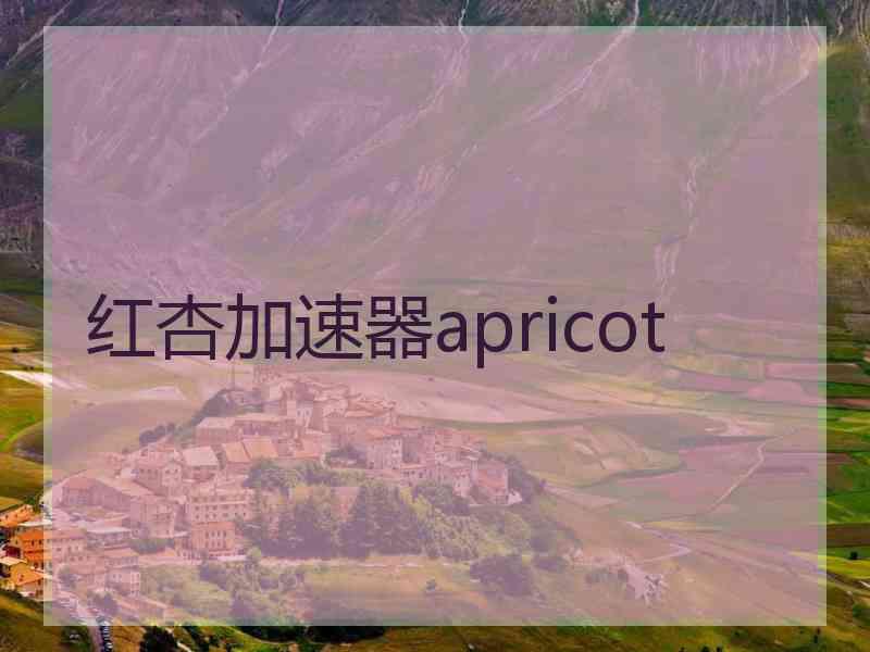 红杏加速器apricot