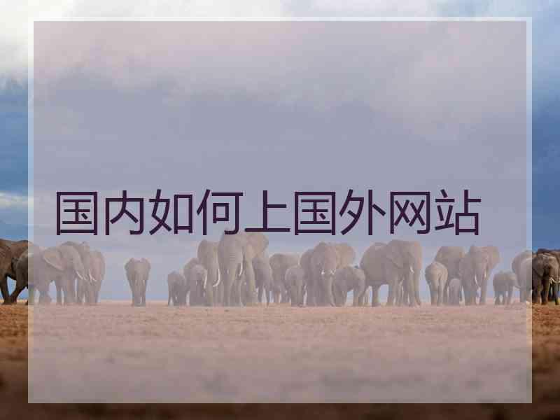 国内如何上国外网站