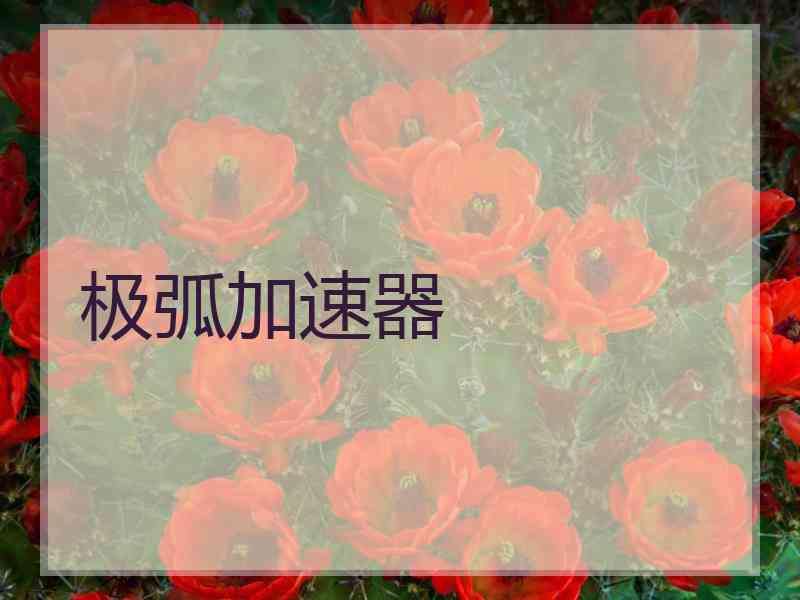 极弧加速器