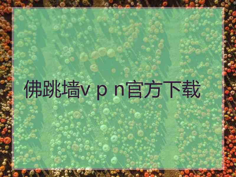 佛跳墙v p n官方下载