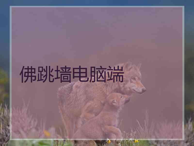 佛跳墙电脑端