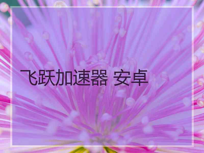 飞跃加速器 安卓