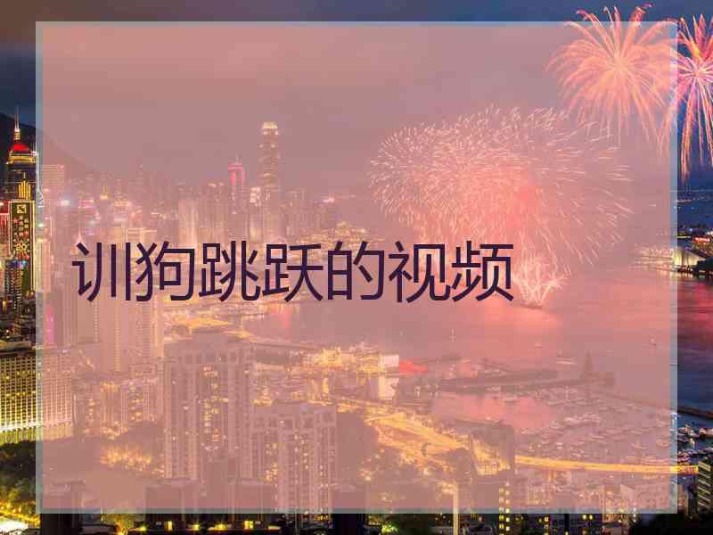 训狗跳跃的视频