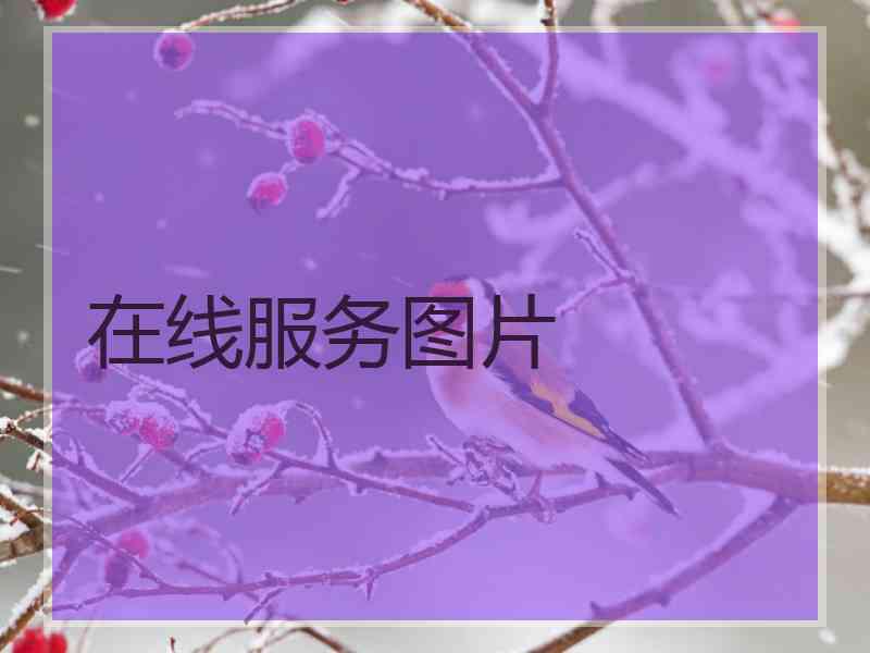 在线服务图片