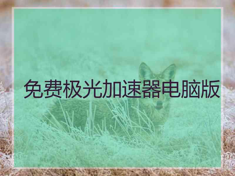 免费极光加速器电脑版