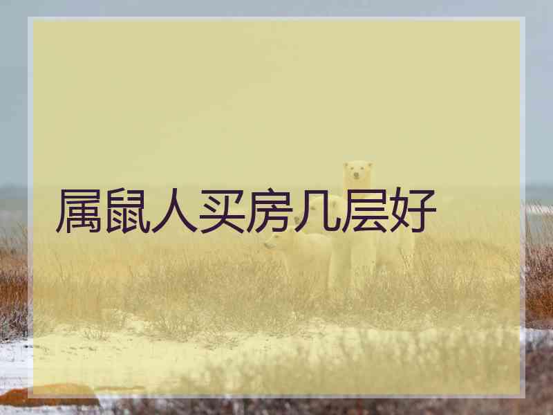 属鼠人买房几层好
