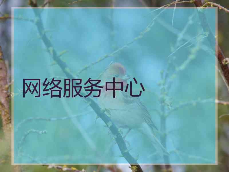 网络服务中心