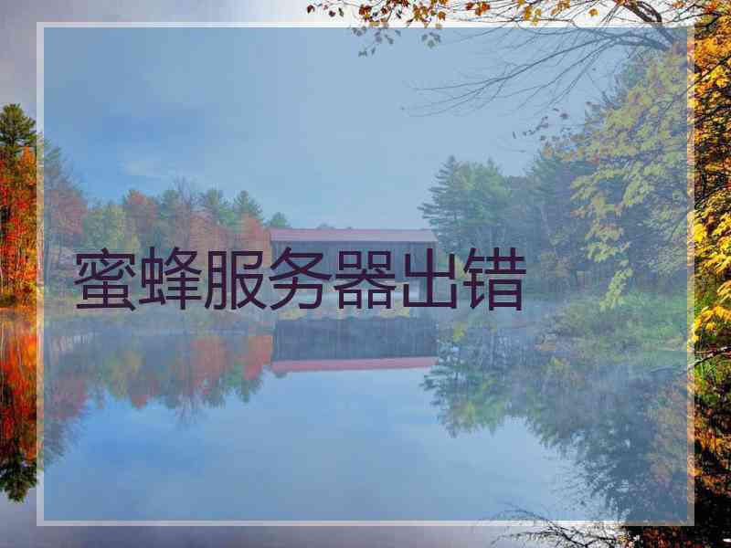 蜜蜂服务器出错