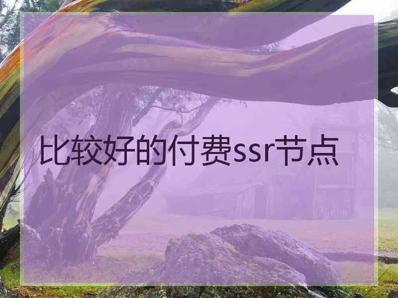 比较好的付费ssr节点