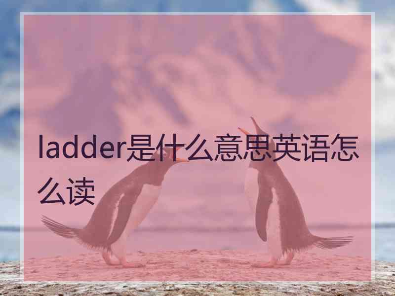 ladder是什么意思英语怎么读