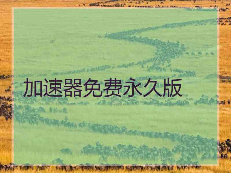 加速器免费永久版