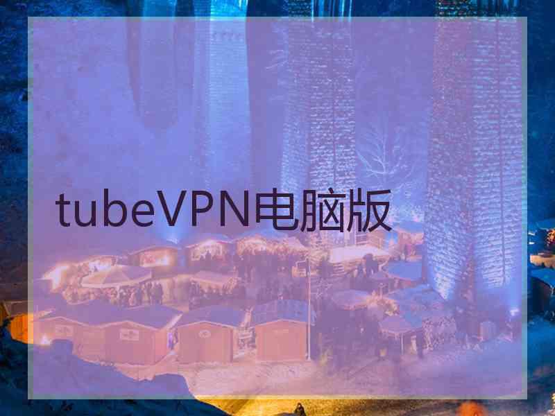 tubeVPN电脑版