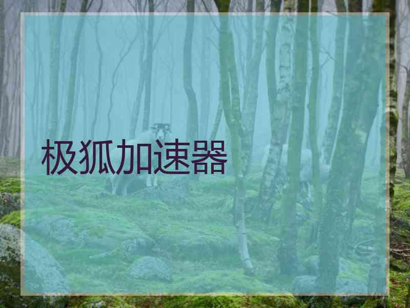 极狐加速器