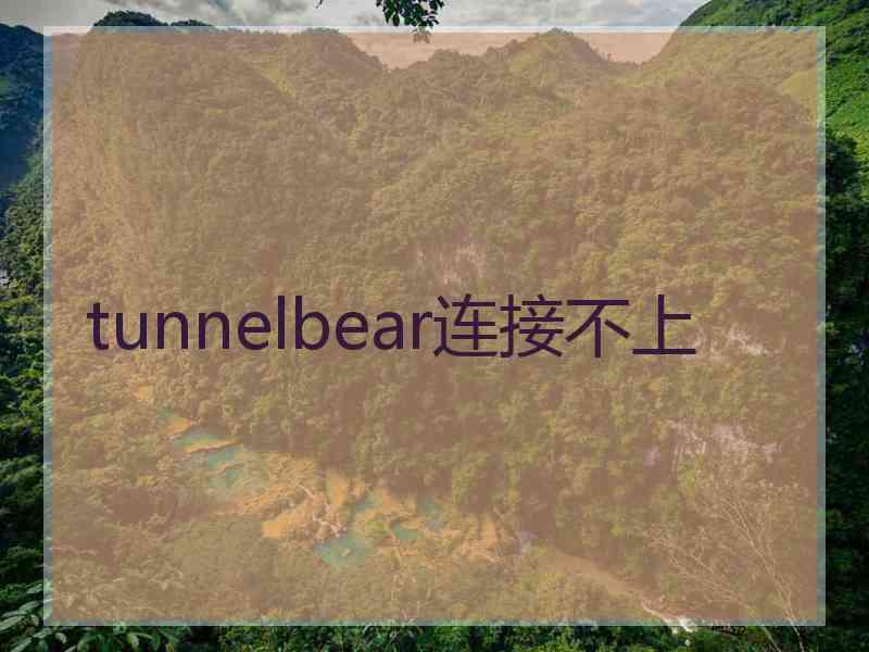 tunnelbear连接不上