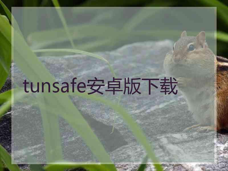 tunsafe安卓版下载