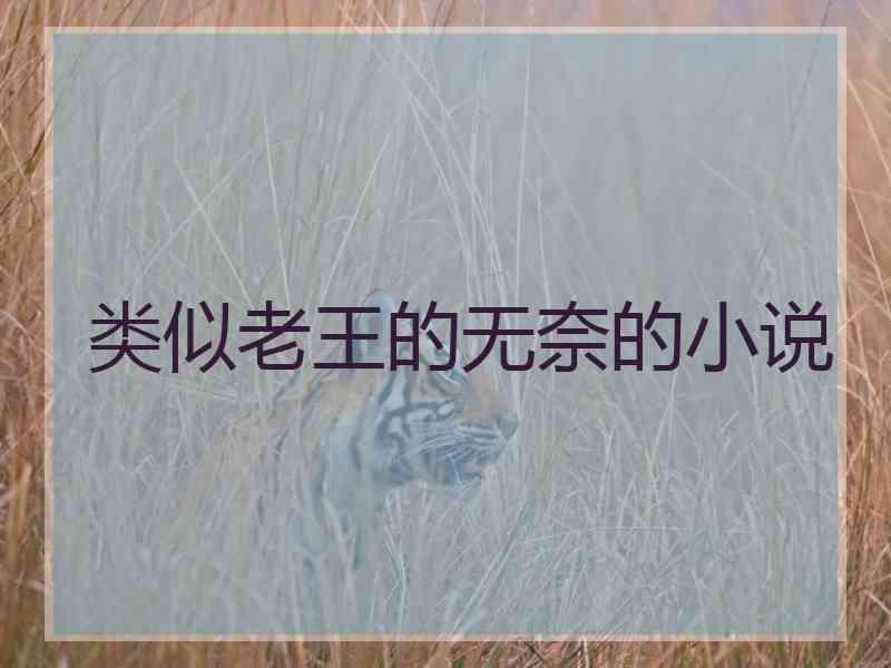 类似老王的无奈的小说