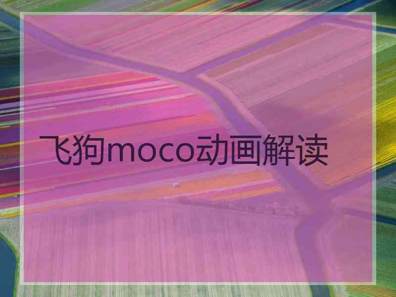 飞狗moco动画解读