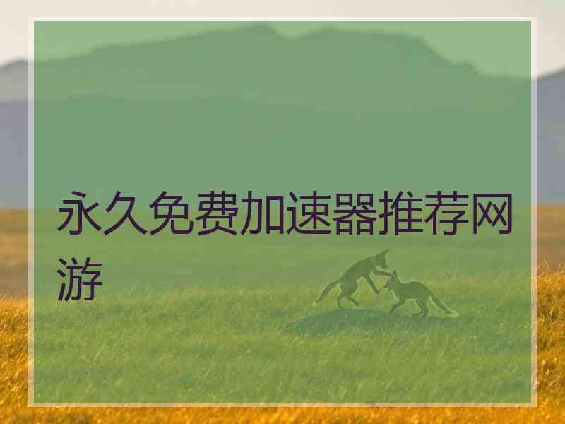 永久免费加速器推荐网游