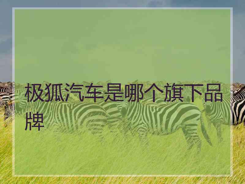 极狐汽车是哪个旗下品牌