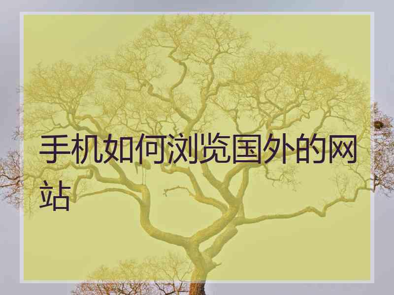 手机如何浏览国外的网站