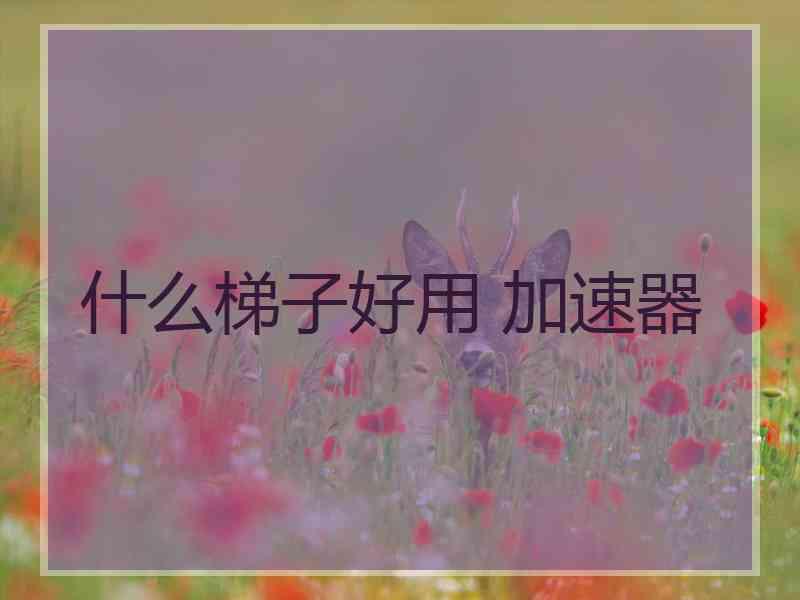 什么梯子好用 加速器