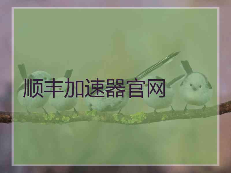 顺丰加速器官网