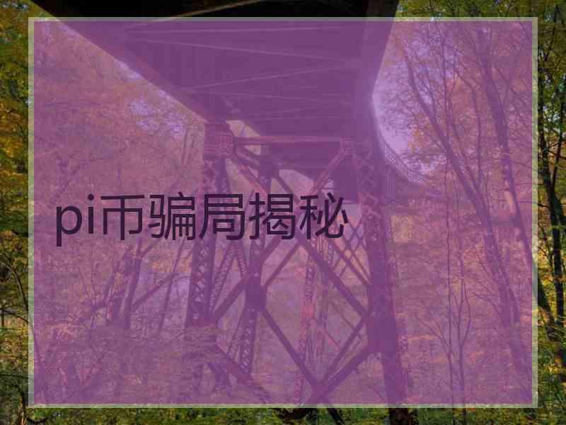 pi币骗局揭秘