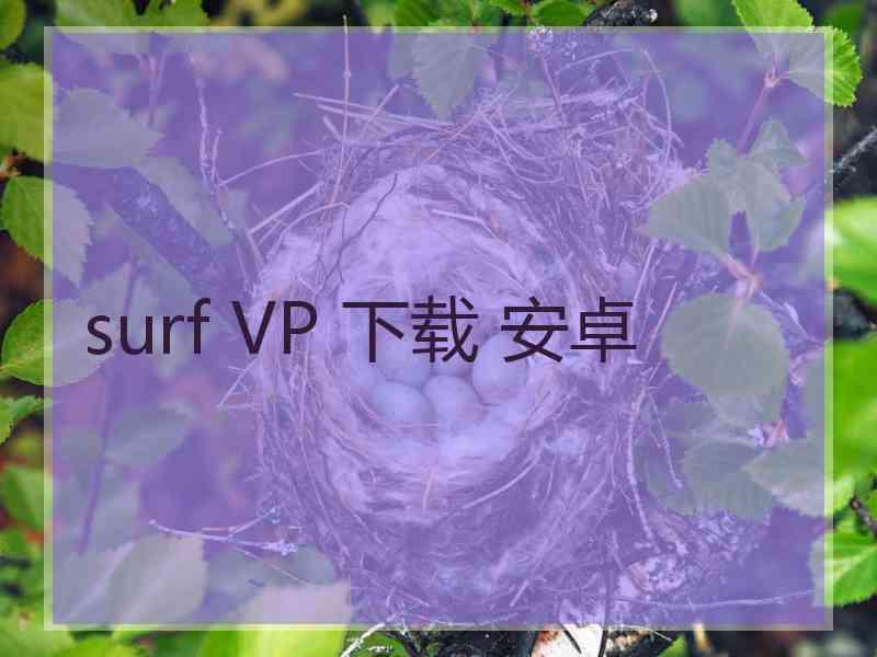 surf VP 下载 安卓